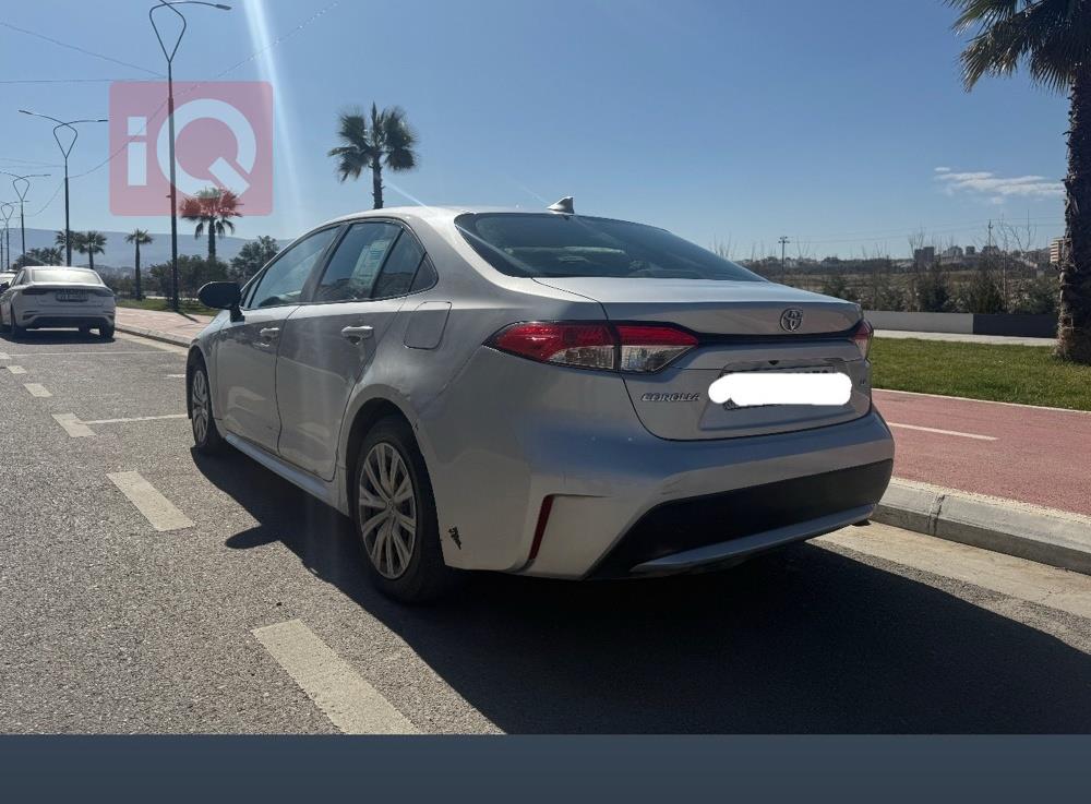 تويوتا كورولا